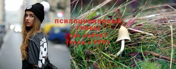 шишки Алексин