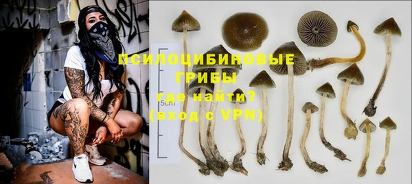 МДПВ Алзамай