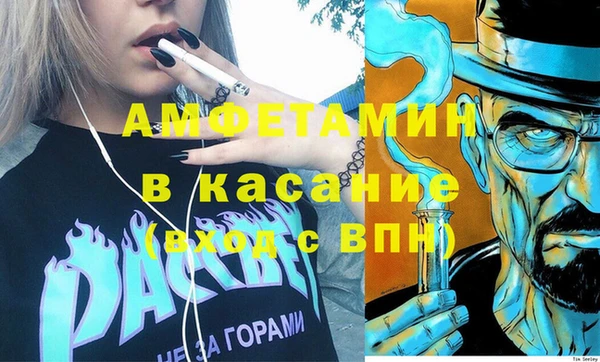 шишки Алексин