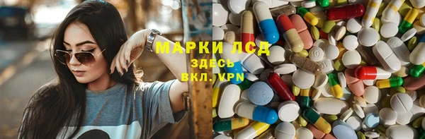 шишки Алексин